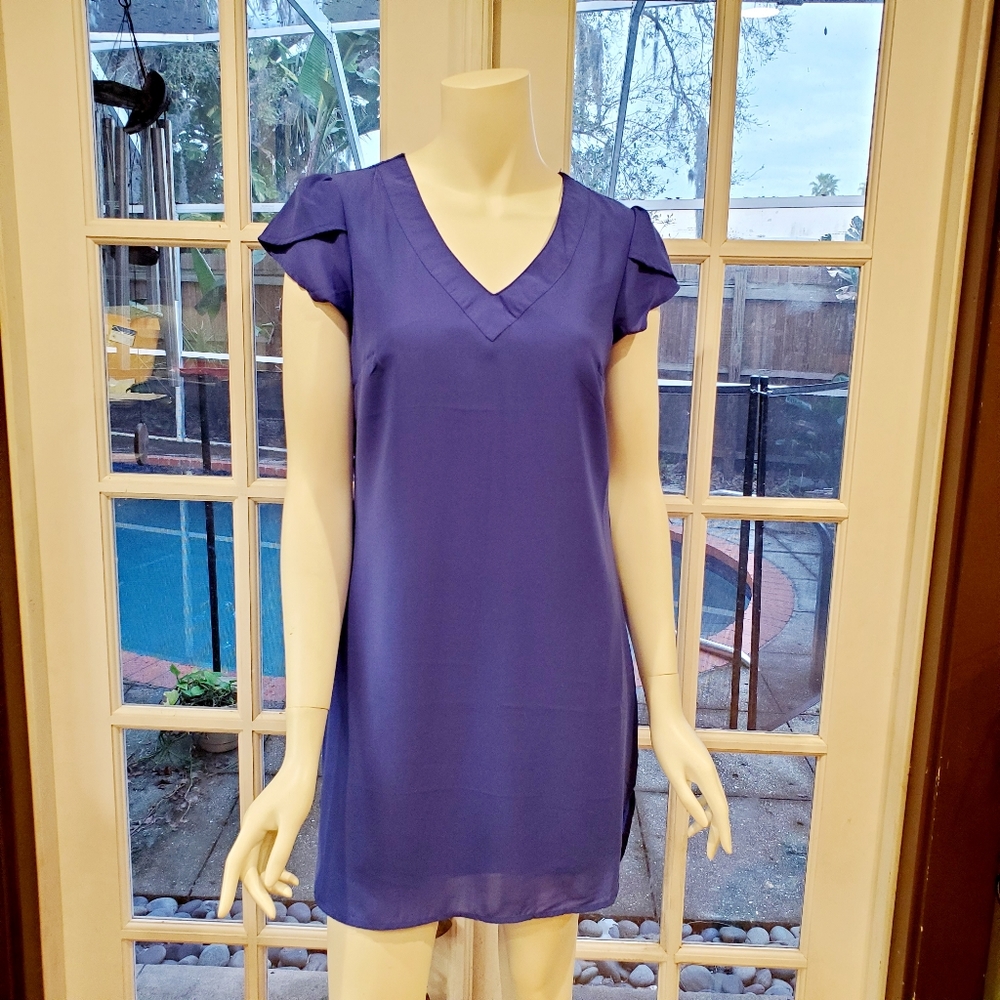 Japana Periwinkle Blue Dress
